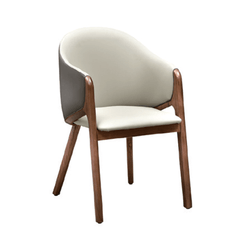Alasia Dining Chair