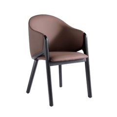 Alasia Dining Chair