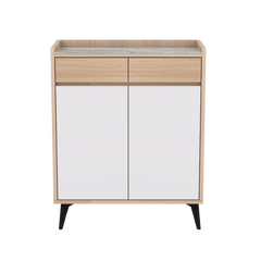 Gerdin 2 Door Shoe Cabinet