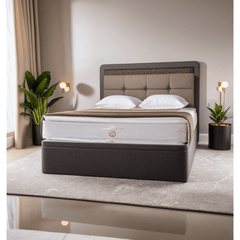 Cissy Queen Size Storage Bed frame