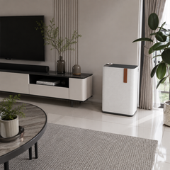 Advanced Dual-Filter Air Purifier