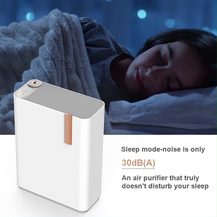 Advanced Dual-Filter Air Purifier