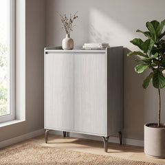 Pavonelle 2-Door Shoe Cabinet