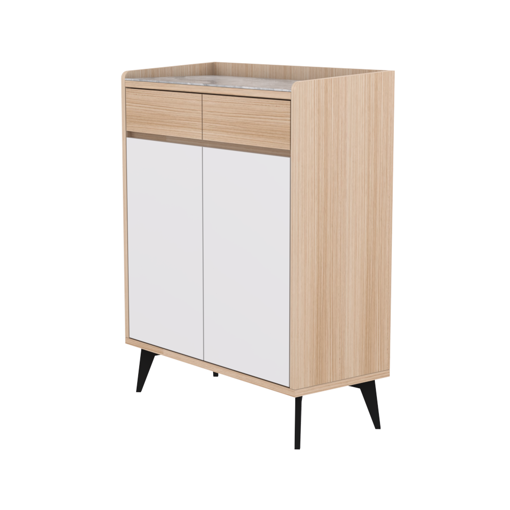 Gerdin 2 Door Shoe Cabinet
