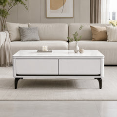 Elaris Coffee Table with Storage