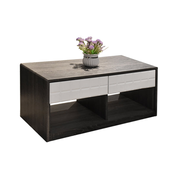 Loris Coffee Table with 2 Drawers